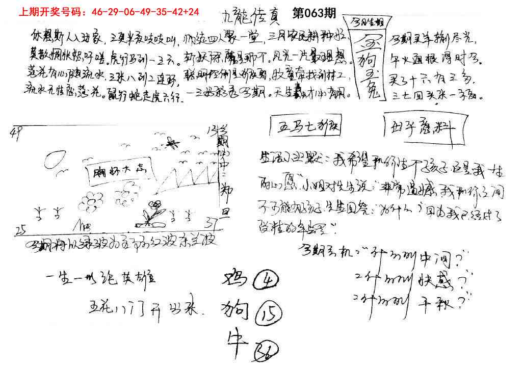 063期手写九龙内幕[图]