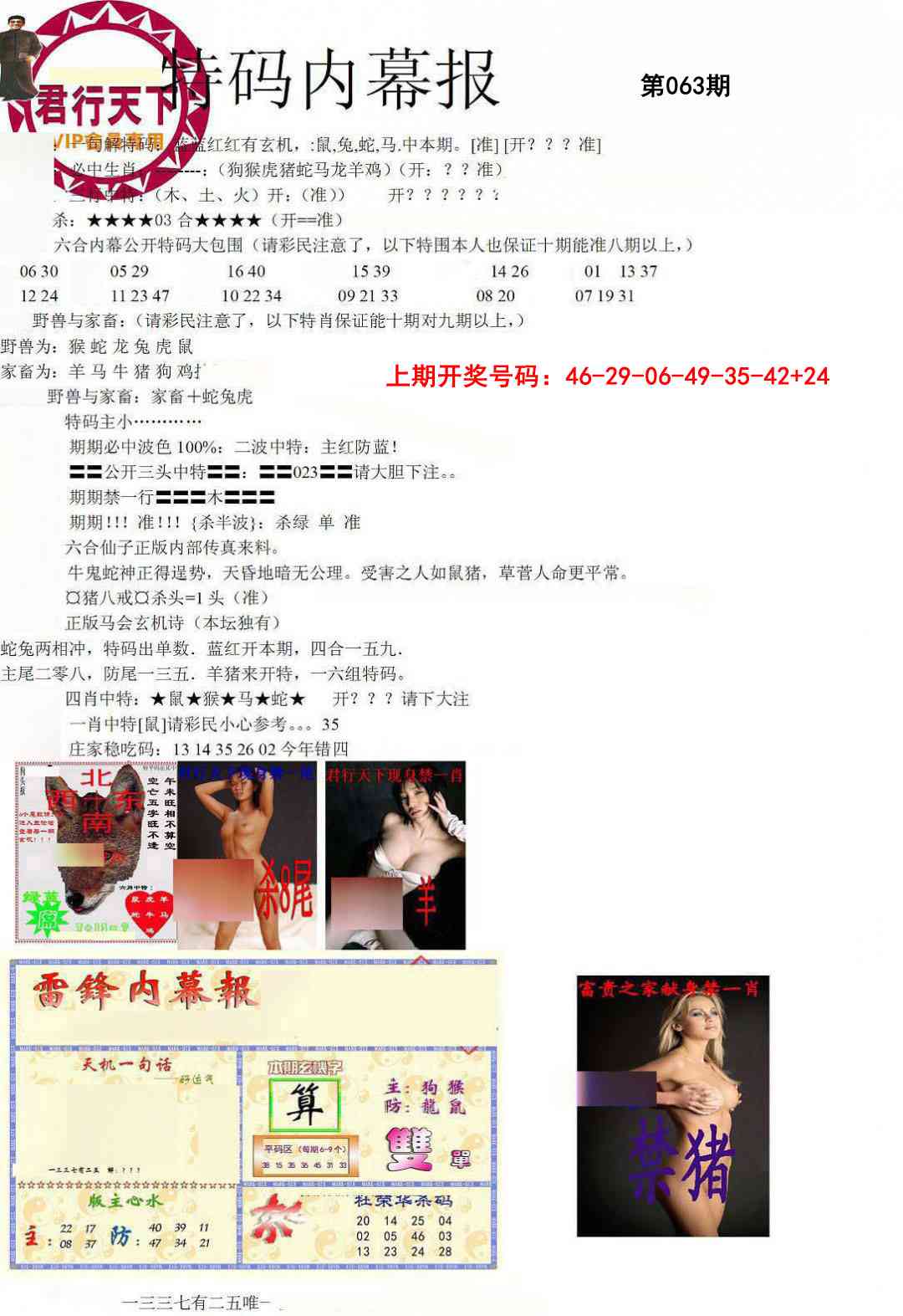 063期特码内幕报[图]