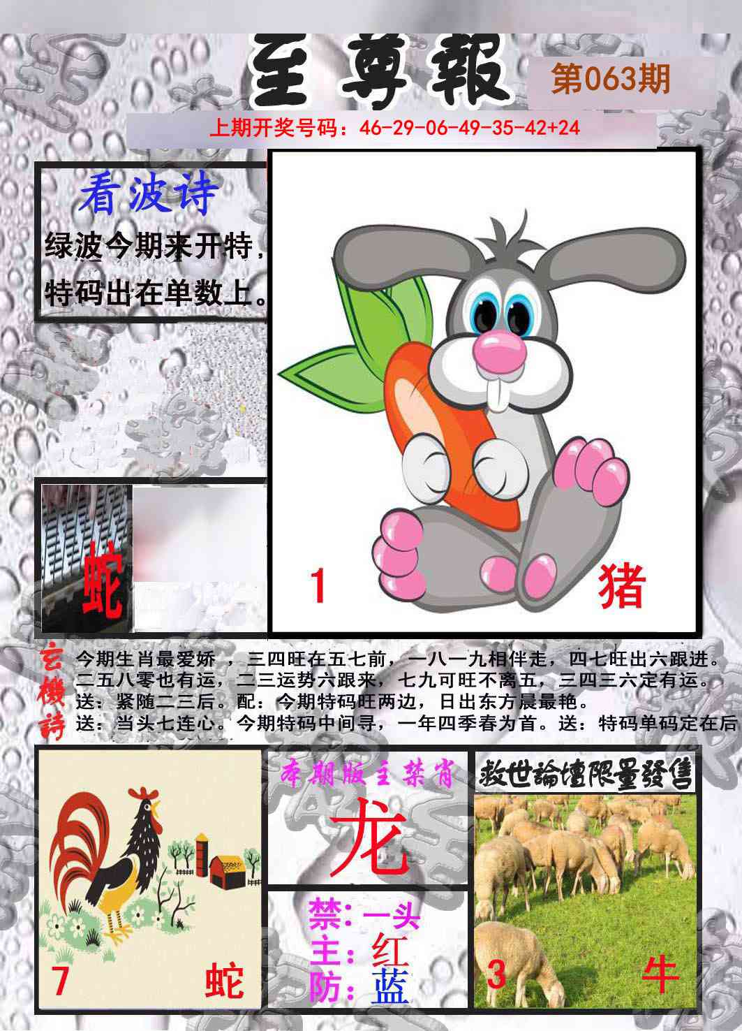 063期至尊报[图]