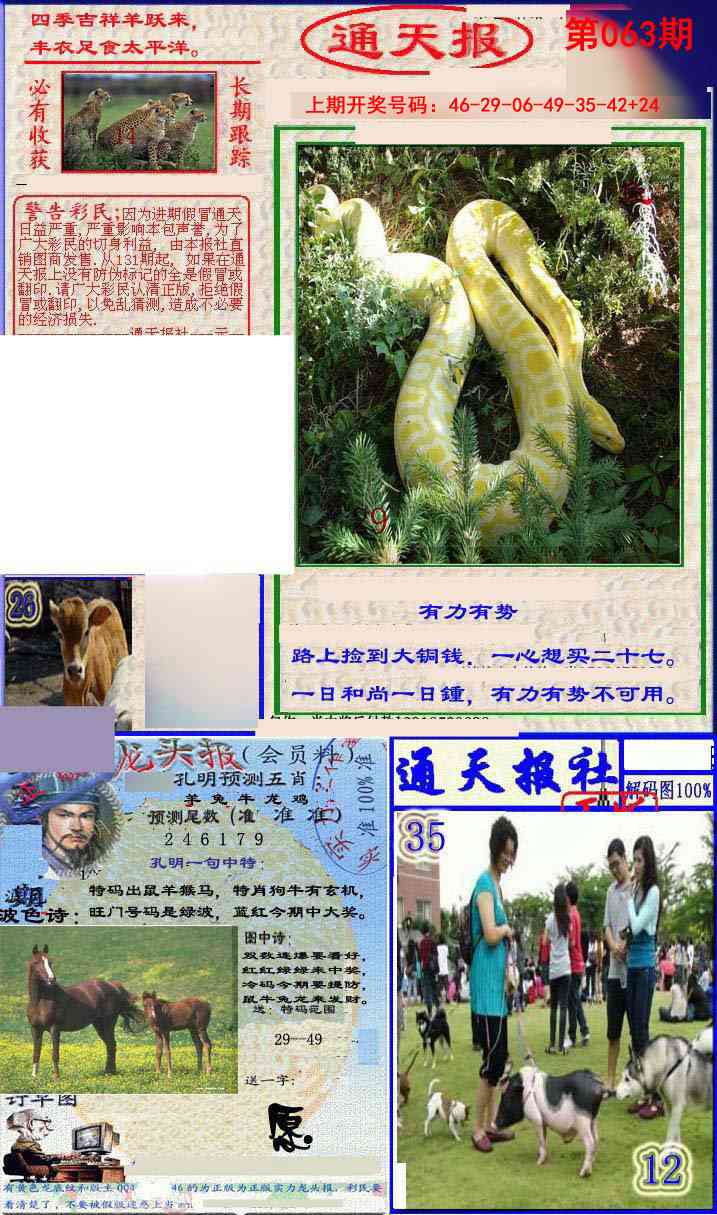 063期实力通天报[图]