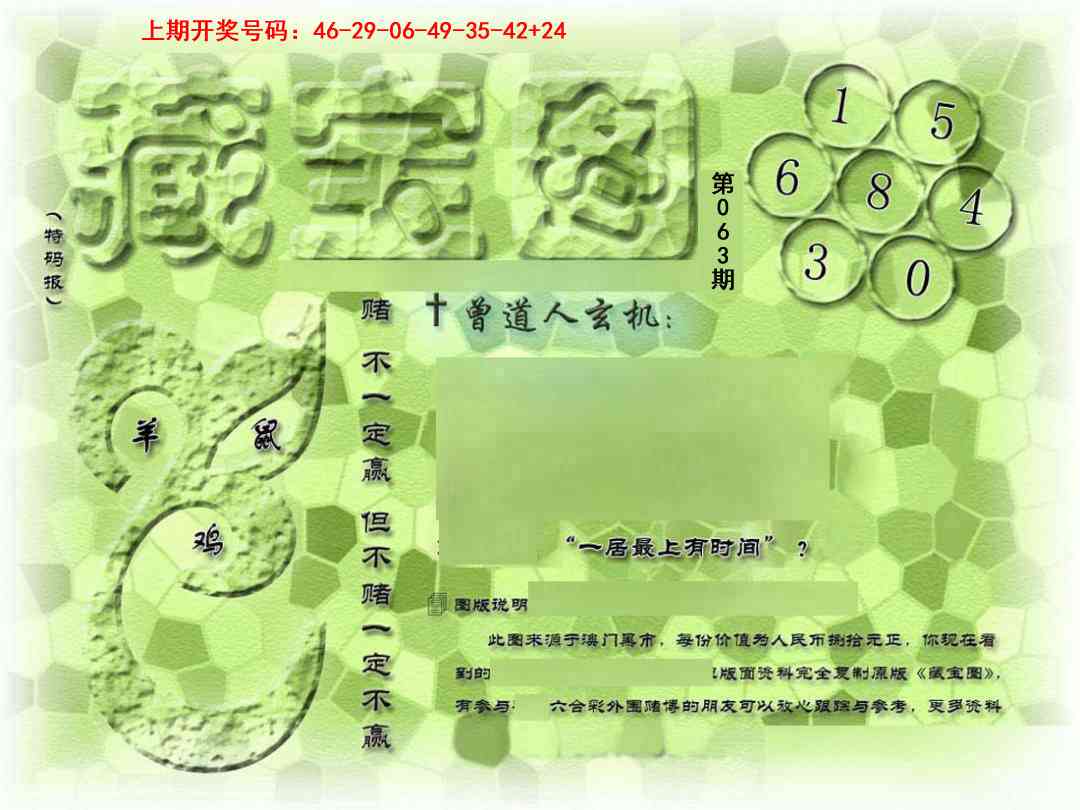 063期假新藏宝图[图]