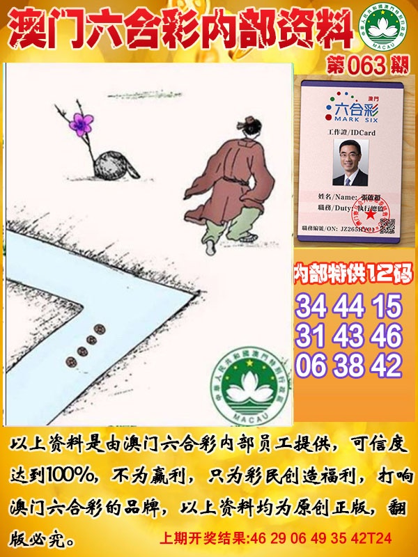 063期六合内部资料[图]
