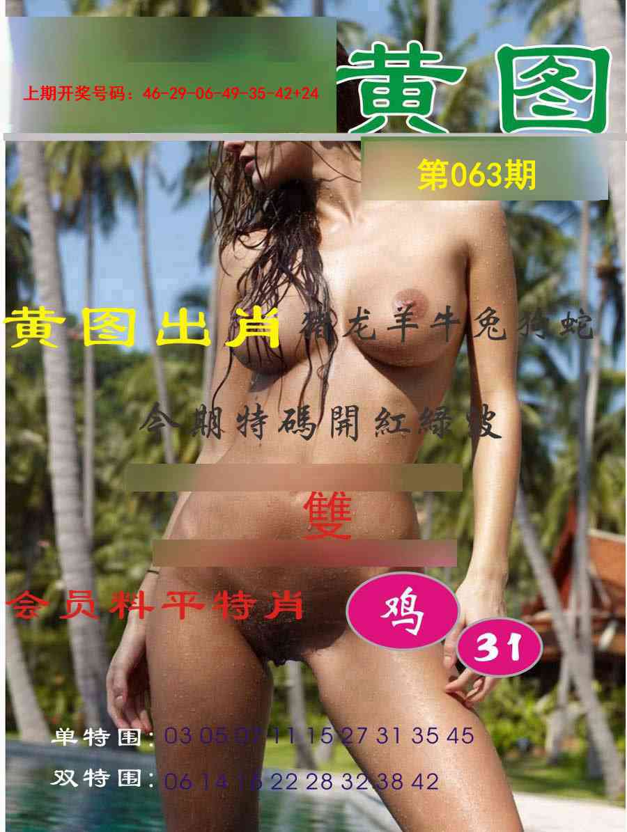 063期黄图[图]