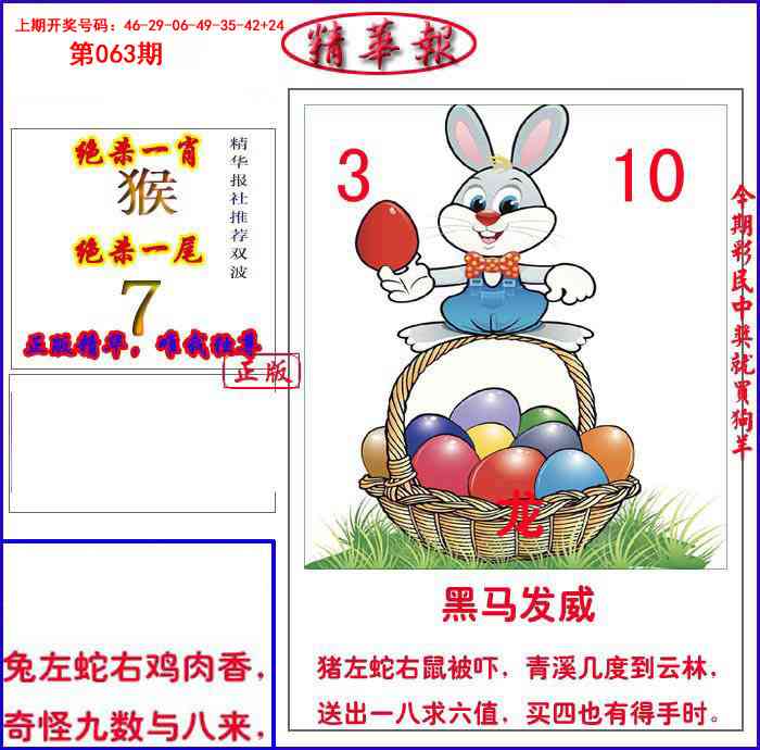 063期新精华报报[图]