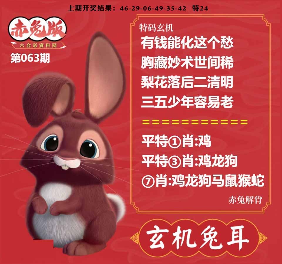 063期玄机兔耳[图]