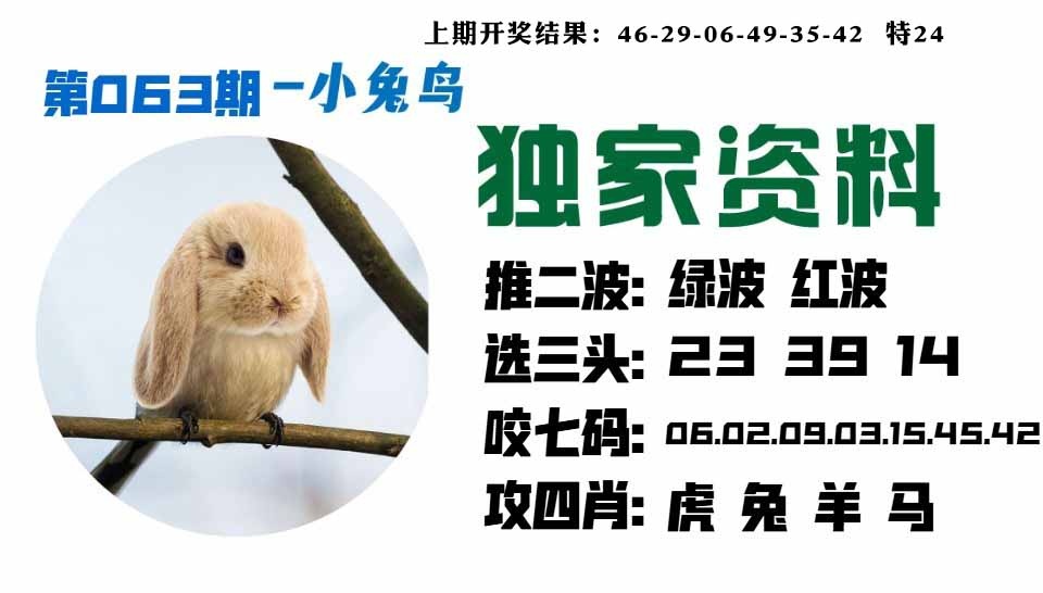 063期小兔鸟[图]