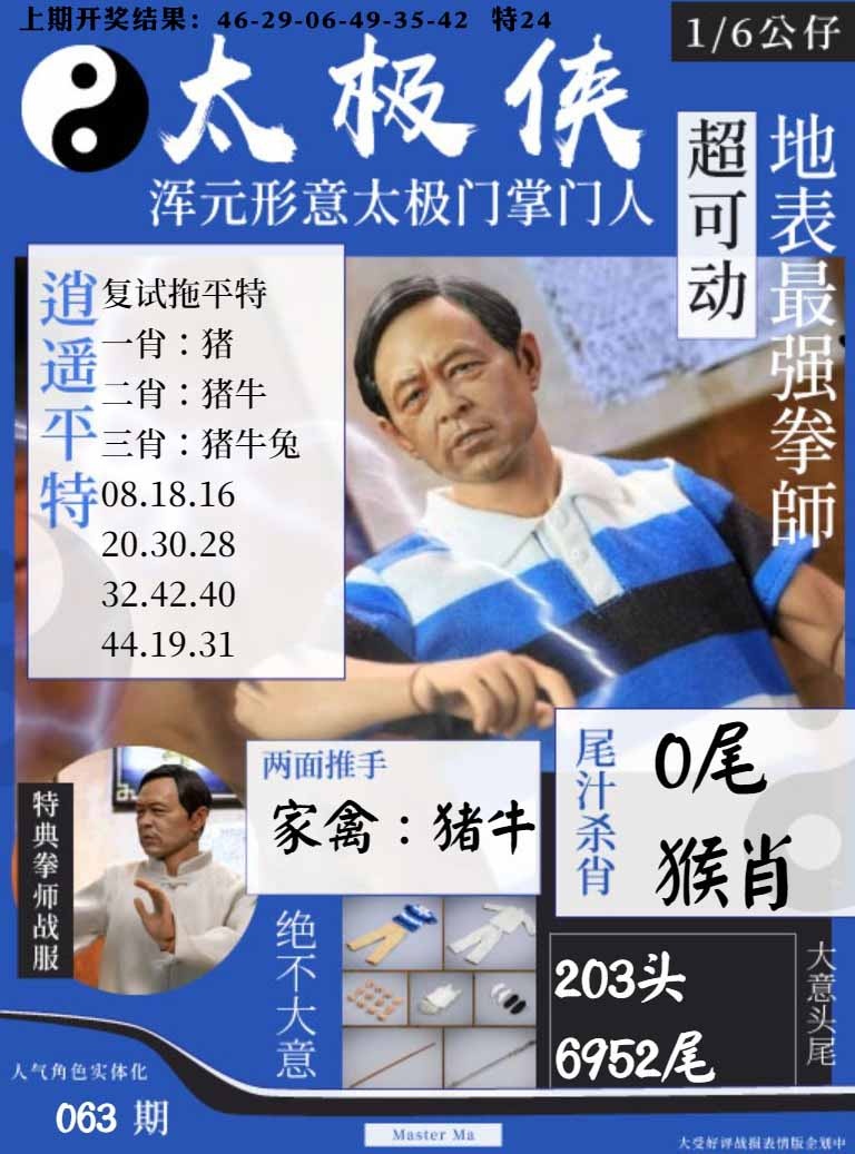 063期太极侠[图]